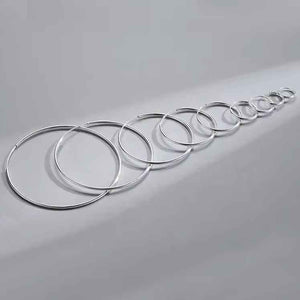 silver sleeper earrings frenelle