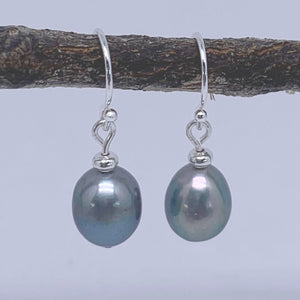 freshwater pearl earrings baroque blue grey peacock colours frenelle jewellery