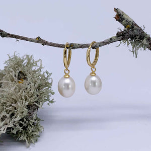 gold drop white pearl earrings jewellery nz