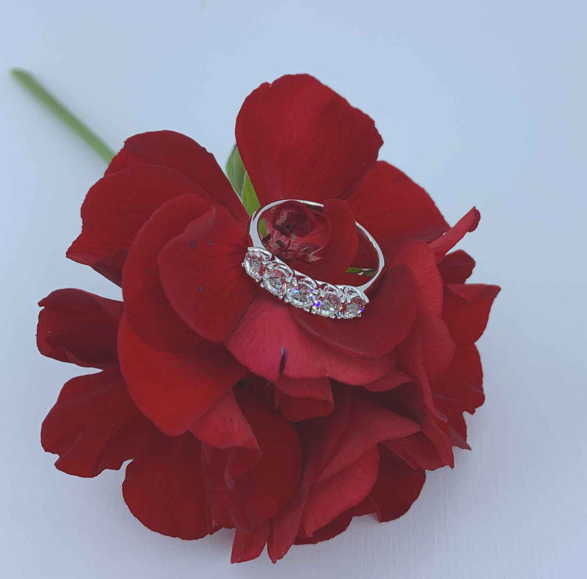 18K White Gold Crystal Eternity or Dress Ring "Katrina"